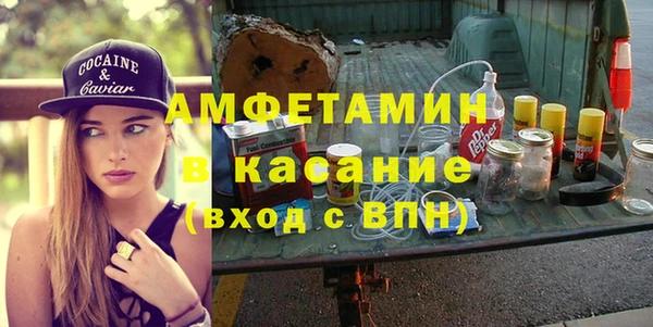 сатива Аркадак