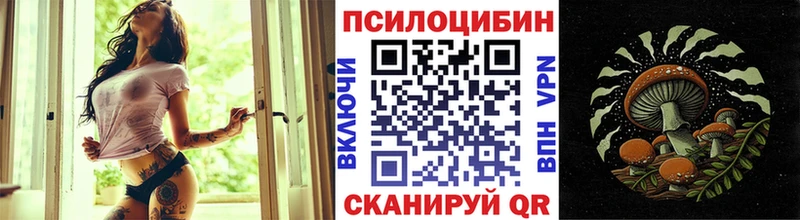 ОМГ ОМГ зеркало Валдай Галлюциногенные грибы Magic Shrooms